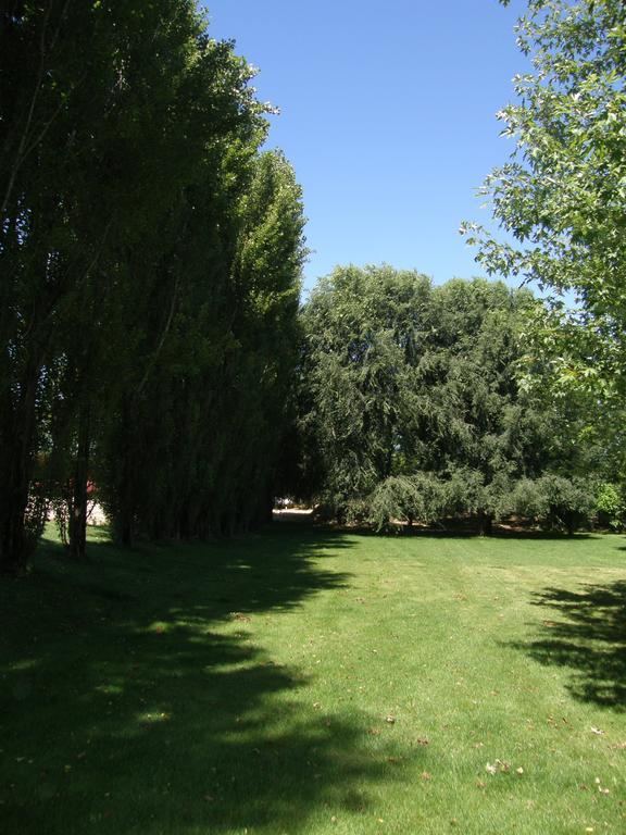 Agriturismo Greppi Crescentino Екстериор снимка
